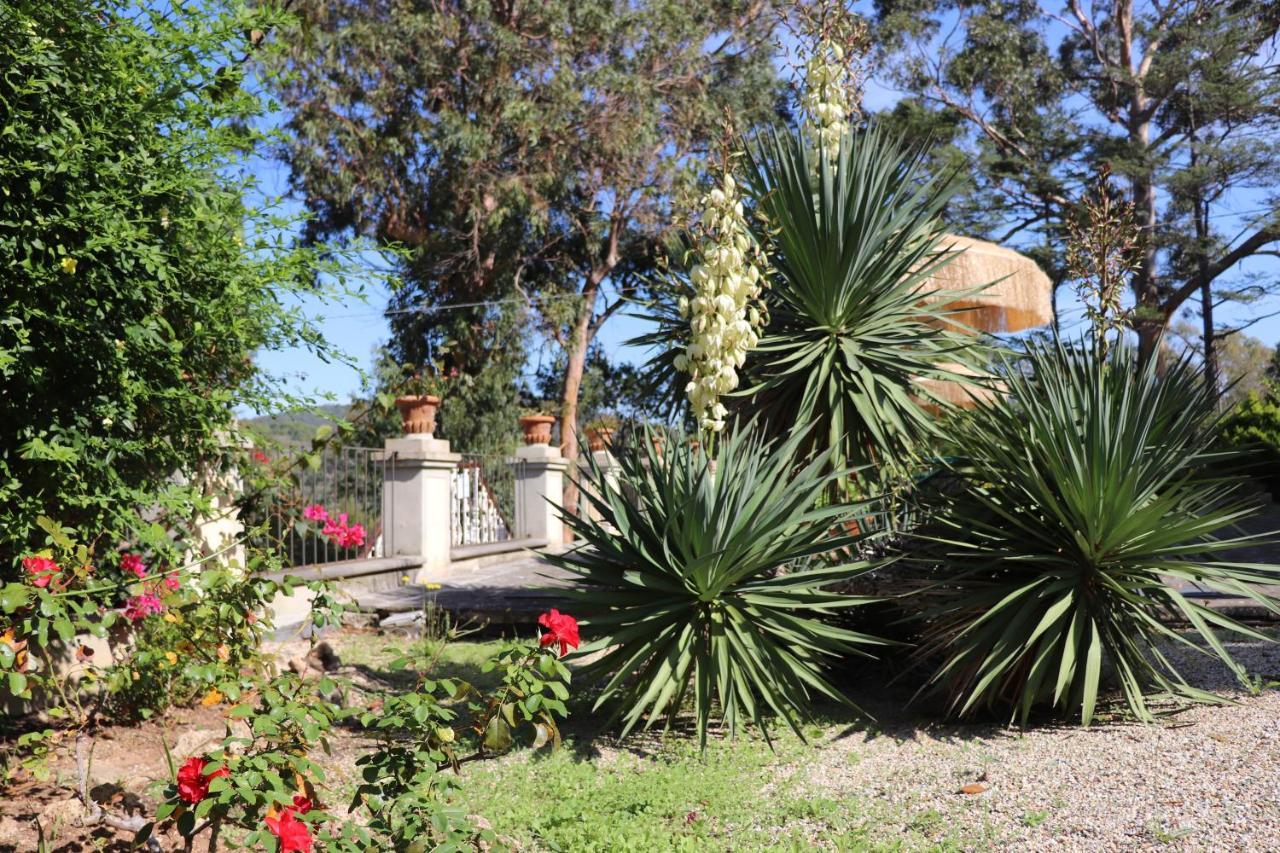 Villa Teresa Porto Azzurro Exterior photo