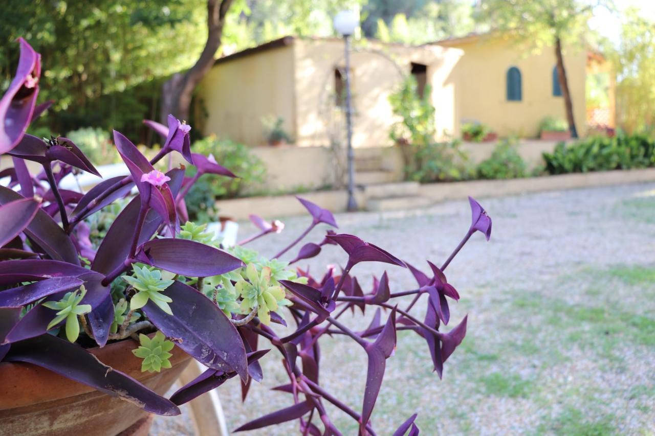 Villa Teresa Porto Azzurro Exterior photo