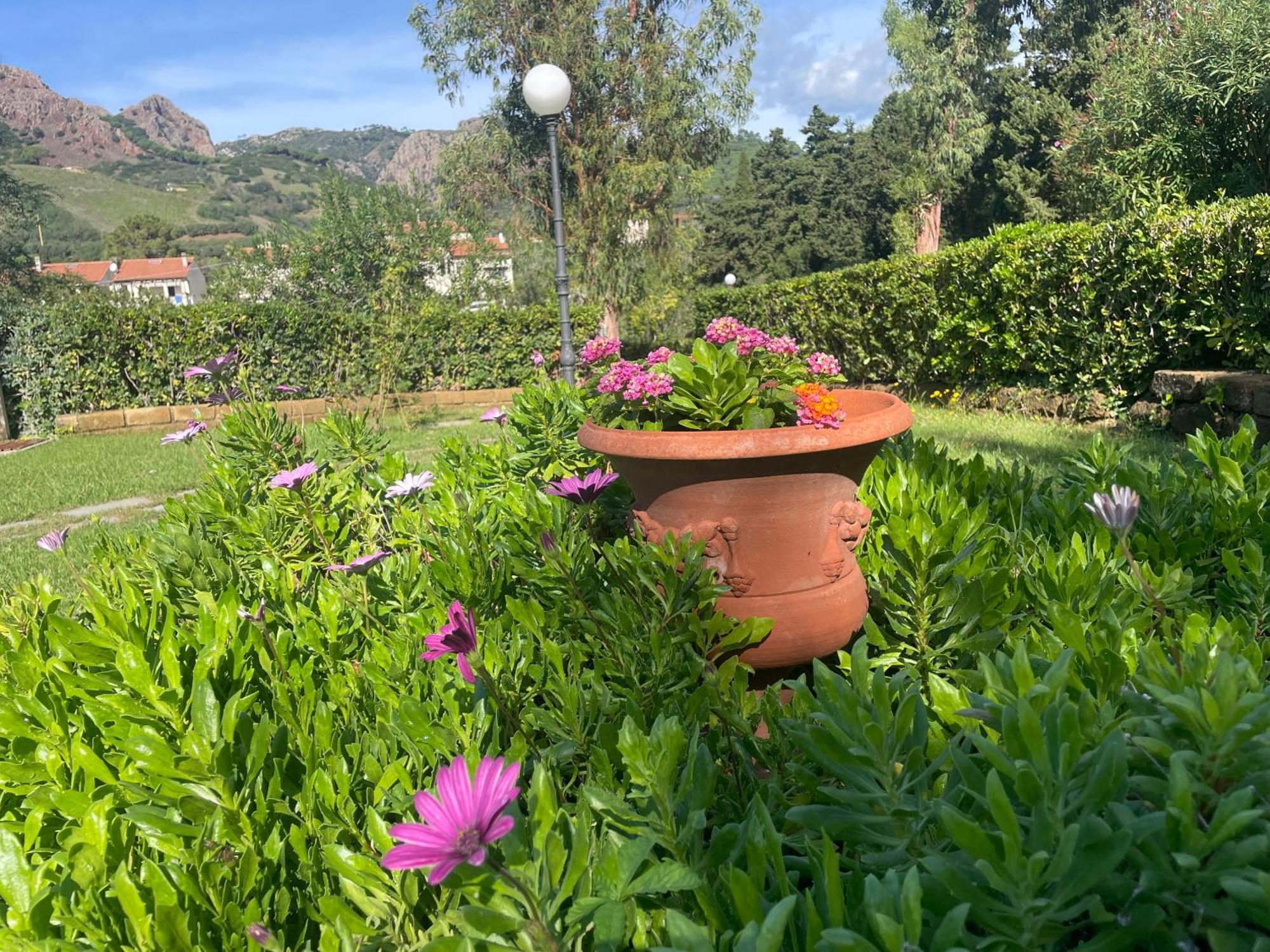 Villa Teresa Porto Azzurro Exterior photo